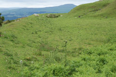 
Lower pond, Garnddyrys Forge, June 2009